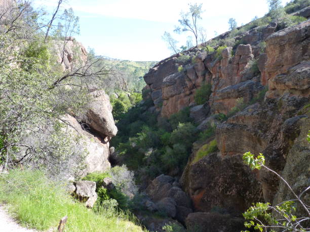 istock Pinnacles National Park, California, USA 1486767286