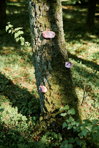 Art object of human eyes on tree trunk in green forest background, trees sight feeling ecological concept