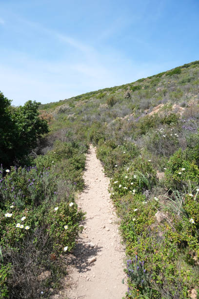 istock Hiking trail in Corsica Mountain 1486768991