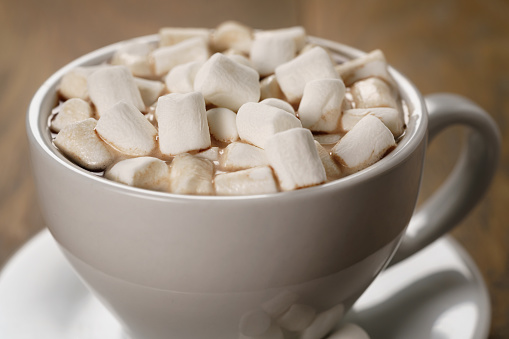 cup of homemade hot chocolate with marshmallows, shallow focus