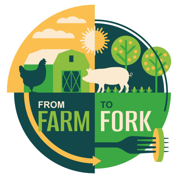 Farm-to-fork - slogan for locally grown food Farm-to-fork slogan - social movement which promotes serving locally grown small farm foods at restaurants and schools. Direct food sales relationship traceability stock illustrations