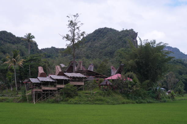 istock Toraja traditional house 1486774697
