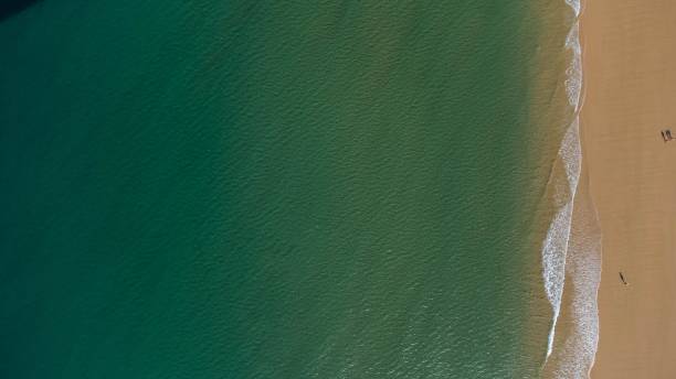 istock Scenic beach landscape featuring sandy shore and calm water 1486775253