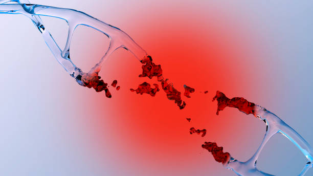 structure de l’adn humain avec hélice de verre détruite, transition vers liquide, acide désoxyribonucléique sur fond bleu, molécules d’acide nucléique, changement, rupture de la structure chimique, rendu 3d, espace de copie - deoxyribonucleic photos et images de collection