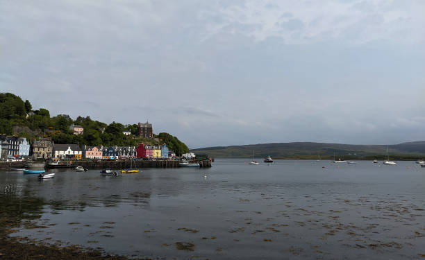 istock Tobermory scene across the bay 1486776545