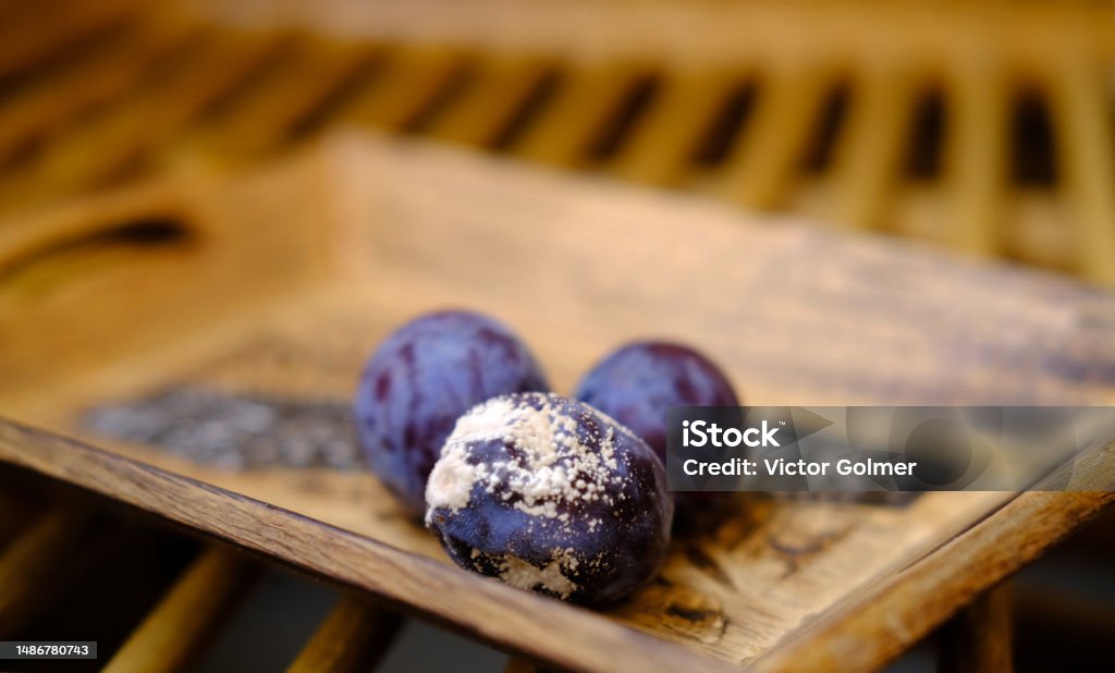close-up of blueberry, black berries covered with gray, white fluffy mold, concept mold fungi on surface products, spore contamination food, mycotoxins affect people's health, rotting food Berry Stock Photo