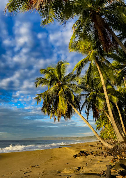 istock Sunrise at Costa Rican Beach 1486781071
