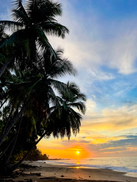 istock Sunrise at Costa Rican Beach 1486781191