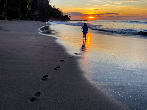 istock Woman walking on the beach sunrise 1486781520