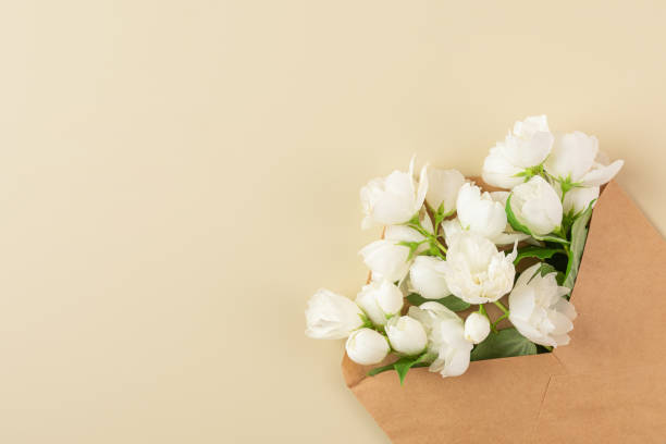 istock White jasmine flowers in paper envelope on beige background. Flat lay. Wedding invitation. Festive layout 1486782685