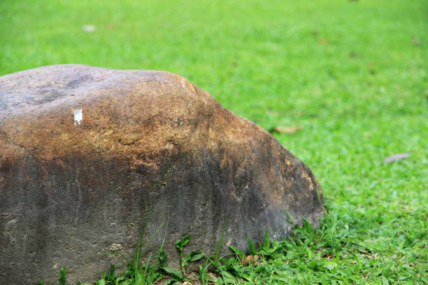 istock large decorative stone at the park it beautiful and natural. 1486786281