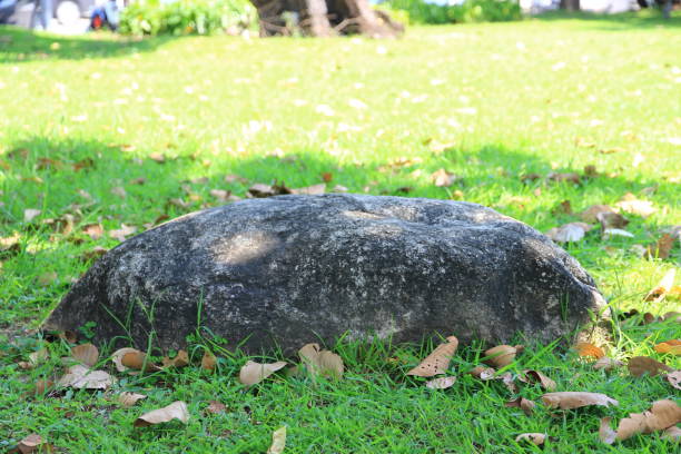 istock large decorative stone at the park it beautiful and natural. 1486786284