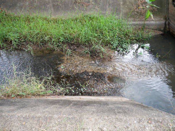 小さな運河の汚染された水は悪臭を放ち、社会の環境に悪影響を及ぼす。 - pollution mask audio ストックフォトと画像