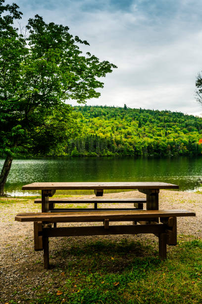 istock picnic table at a lake in Canada 1486787389