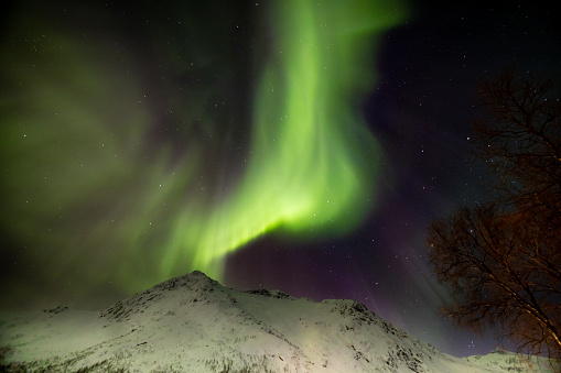 Amazing Lights Show in the Arctic Circle,
