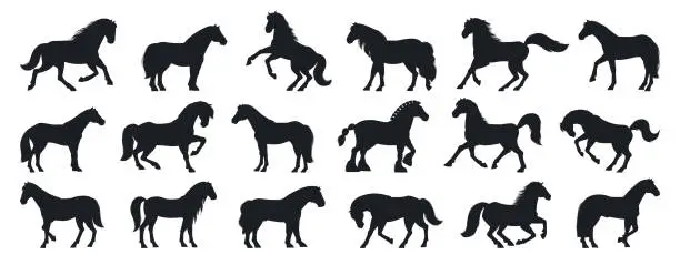 Vector illustration of Cartoon horses silhouette. Domestic animals of different breeds and poses flat vector illustration set. Graceful farm horses silhouettes