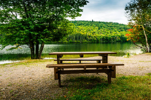 istock picnic table at a lake in Canada 1486789206