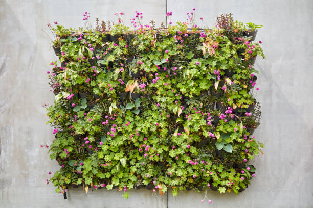 Concrete wall with block of hanging baskets with green plants