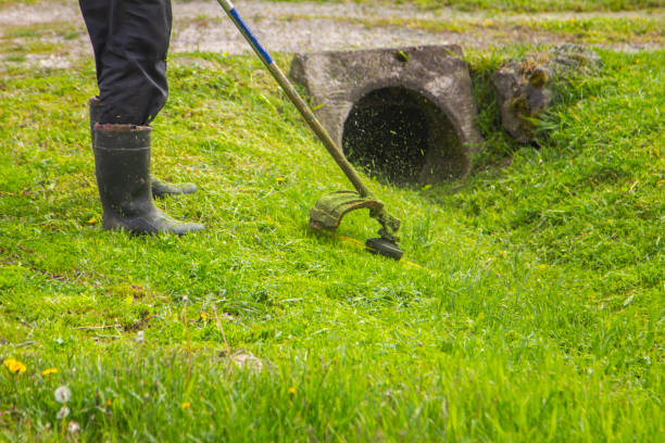 istock a man mows the grass with a chainsaw in the yard. the gardener is mowing grass with a string lawn mower. 1486795528