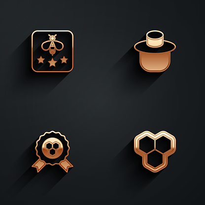 Set Type of bee Beekeeper with protect hat Honey award and Honeycomb icon with long shadow. Vector.