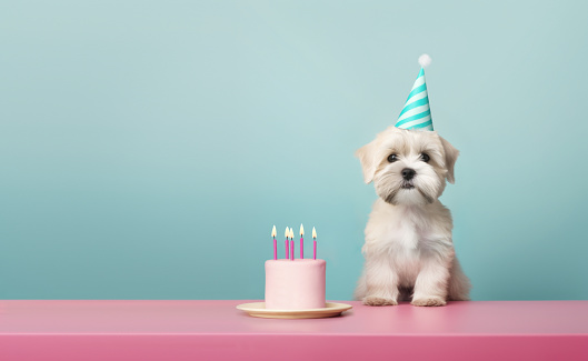 Cute puppy dog celebrating with a birthday cake with five pink birthday candles, blue background with copy space to side