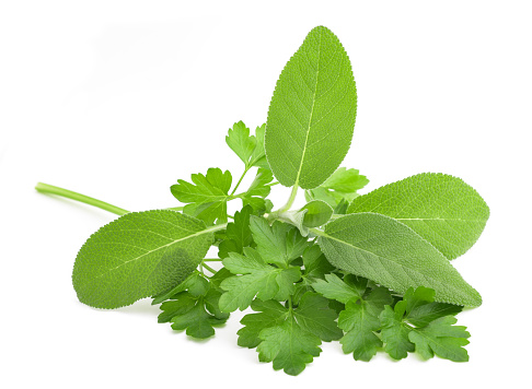 Parsley and sage isolated on white background