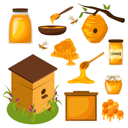 Honey set. Collection of beekeeping. Wooden beehive, Honeycombs, bee, honey in glass jar, honey dripping from wooden dipper, honey in wooden spoon