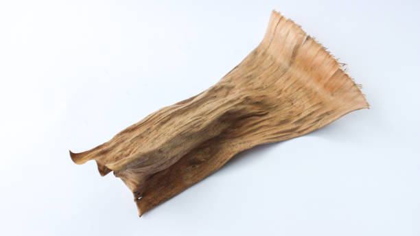 istock Dried banana leaves isolated on white background. 1486806365