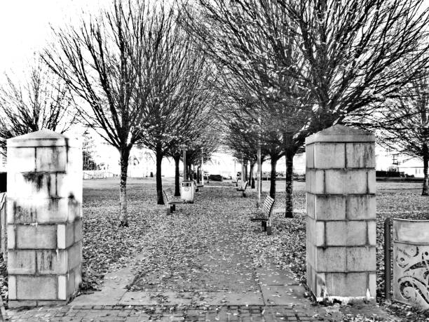baumalee in black and white