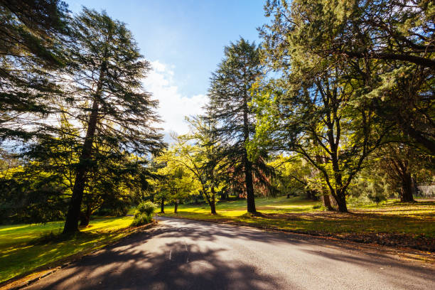 istock Maroondah Reservoir Park in Australia 1486809557
