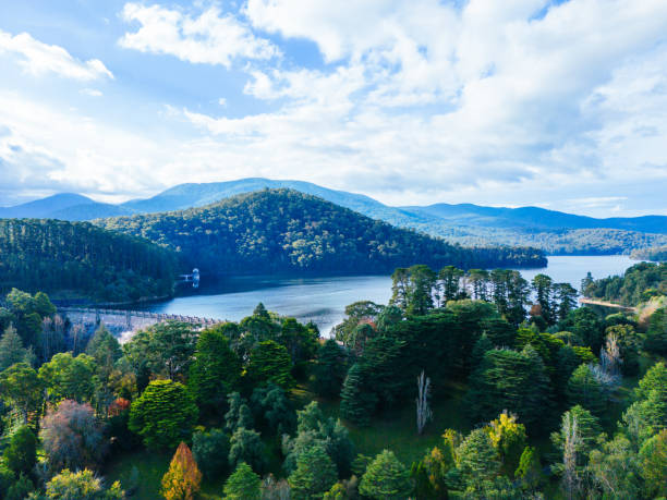 istock View Over Maroondah Reservoir in Australia 1486809668
