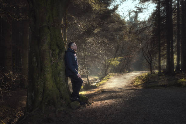 A man resting against a tree in the woods, sunlight shining on the path. Beecraigs Country Park, West Lothian, Scotland
