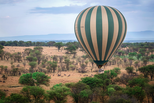 Flying in the hot air balloon over Serengeti with a view of the animal wildlife moving across the plain.