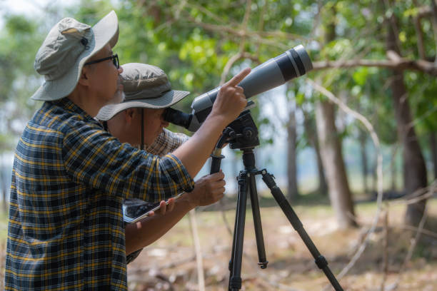 istock Couple of birdwatchers using binoculars and telescope. 1486820893