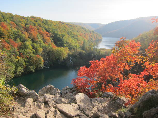 istock Lake in Plitvice Lakes National Park 1486820995