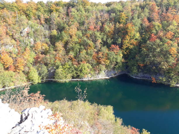 istock Lake in Plitvice Lakes National Park 1486822139