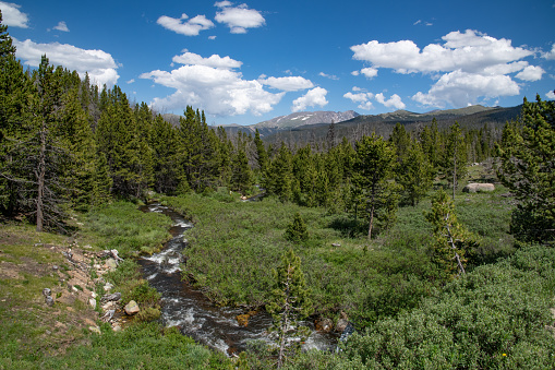 Bubbling stream in northern Colorado above Rocky Mountain National Park in western USA, North America. Nearby cities and towns are Denver, Boulder. Loveland, Walden, and Fort Collins, Colorado.