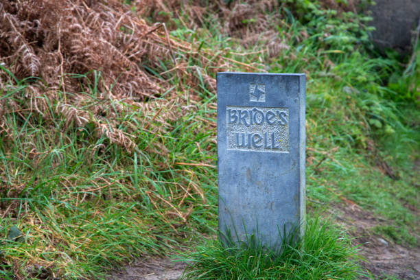 istock Tobar Bride Holy well in Wicklow on the Glen Beach cliff walk 1486834567