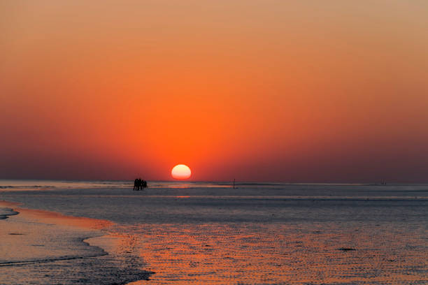sunset at mandvi beach, kutch - horizontal landscape coastline gujarat imagens e fotografias de stock