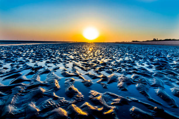 sonnenuntergang am strand von mandvi, kutch - horizontal landscape coastline gujarat stock-fotos und bilder