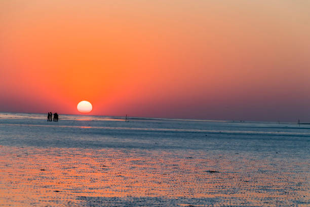 sonnenuntergang am strand von mandvi, kutch - horizontal landscape coastline gujarat stock-fotos und bilder