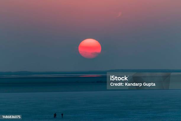 Various Views Of The Rann Of Kutch Stock Photo - Download Image Now - Asia, Backgrounds, Beauty