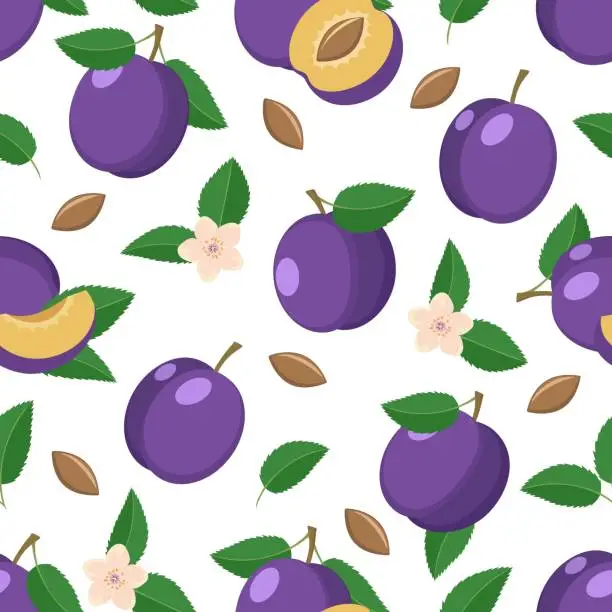 Vector illustration of Plums seamless pattern