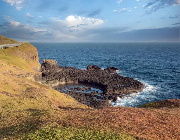 Photo of The nobbies, Phillip Island (Corriong, Worne or Millowl), south-southeast of Melbourne, Victoria, Australia