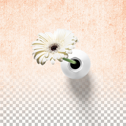 Fresh flowers on white vase isolated