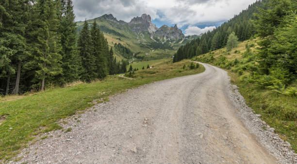 istock View on a dirt road in the austrian mountains,winding into the valley. The path is surrounded by pine trees and mountains. Summer, day, Austria, Alps. 1486857591