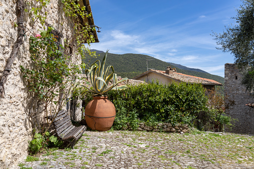 Small square with giant potted plant in a medieval hilltop town in the Province of Rieti.