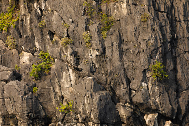 istock Stone texture in Ha Long Bay in Vietnam, Southeast Asia 1486863045