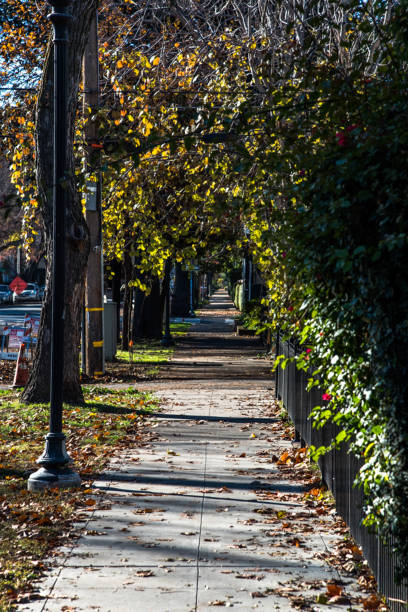 istock A Sacramento Neighborhood 1486864535