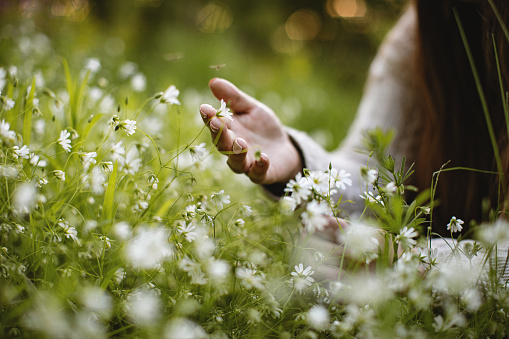 Woman hand touching spring flowers